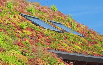 Leaventhorpe living roof systems